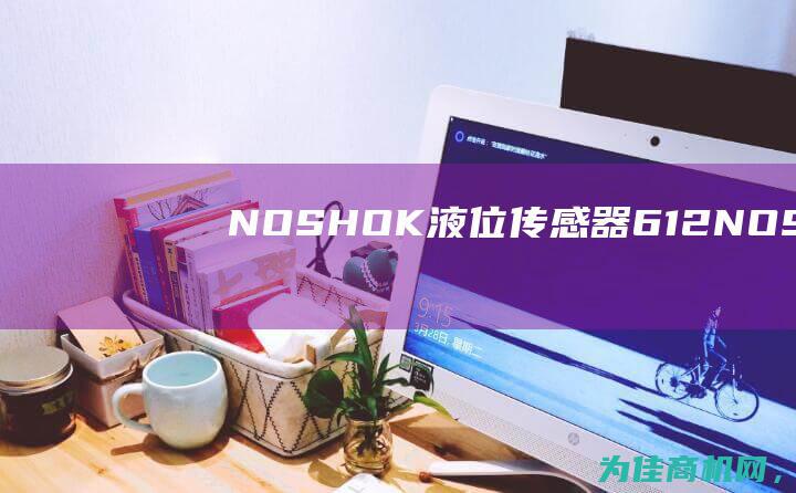 NOSHOK液位传感器612 (NOSHOK压力表官网)