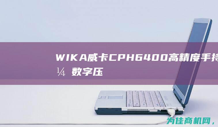 WIKA威卡CPH6400高精度手持式数字压力显示仪 尖端技术助您精准测量压力 (wika威卡官网)