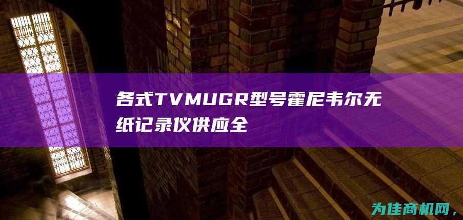 各式TVMUGR型号霍尼韦尔无纸记录仪供应 全线进口品牌产品等你来选购 (各式各样)