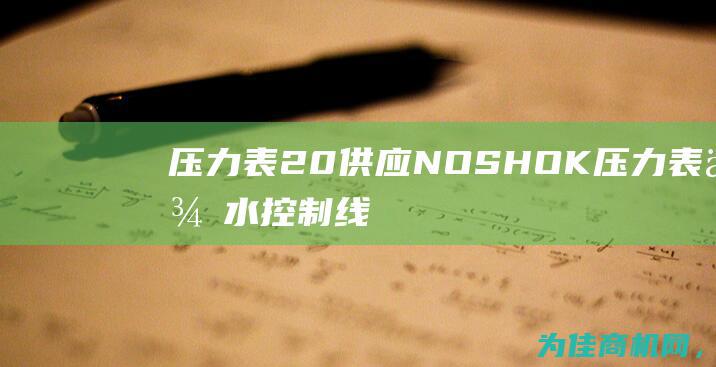 压力表 20 供应NOSHOK (压力表供水控制线路视频)