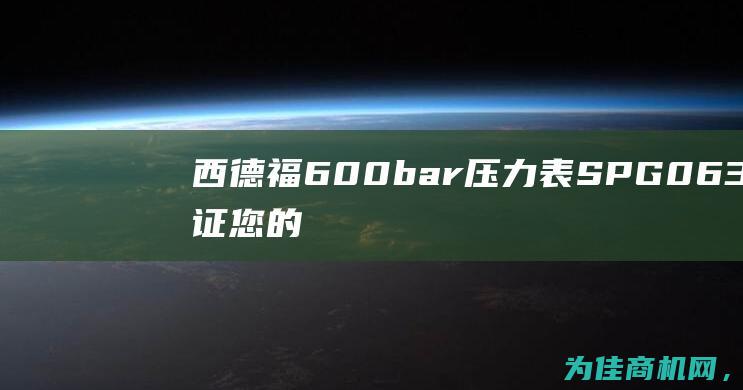 西德福600bar压力表SPG063 保证您的压力控制在可靠范围内 (西德福胶管总成样本)