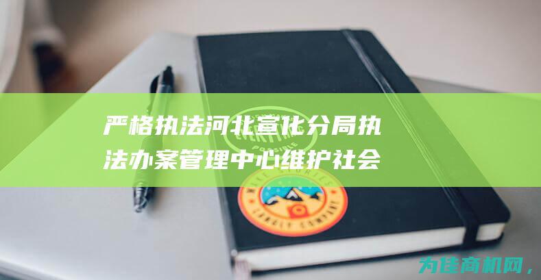 严格执法 河北宣化分局执法办案管理中心 维护社会治安 规范办案 (严格执法措施)