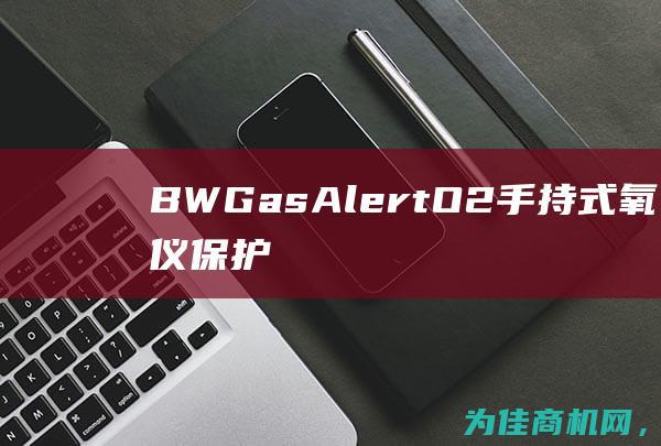 BWGasAlertO2手持式氧气报警仪 保护您的安全