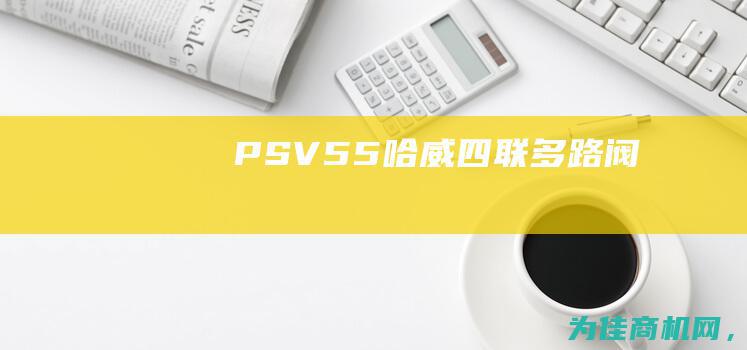 PSV55 哈威四联多路阀