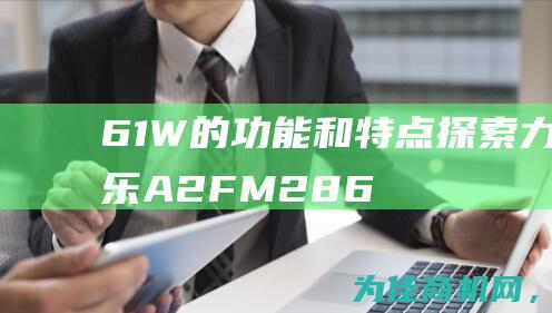 61W的功能和特点 探索力士乐A2FM28 (66w功率)