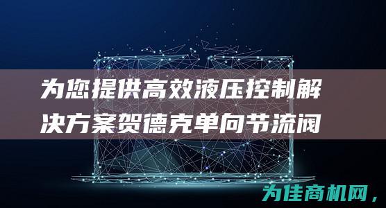 为您提供高效液压控制解决方案 贺德克单向节流阀SR08 (为您提供高效便捷的什么服务)