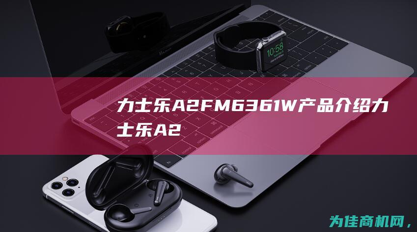 力士乐A2FM6361W 产品介绍 (力士乐A2FM80马达参数)