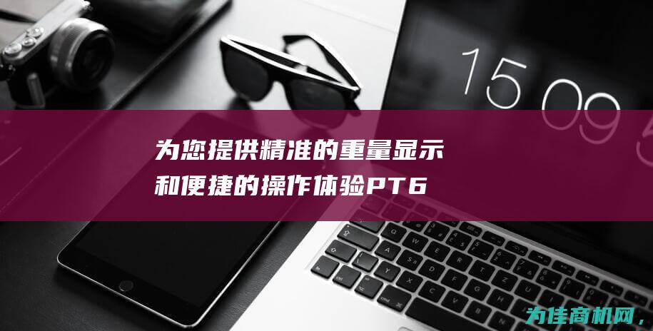 为您提供精准的重量显示和便捷的操作体验 PT650D称重显示器 (为您提供精准服务)