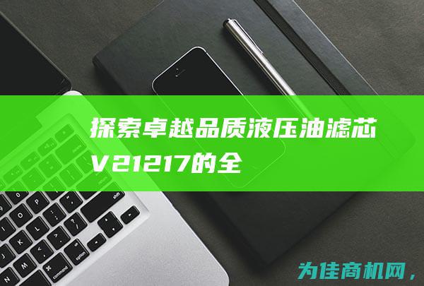 探索卓越品质——液压油滤芯V2.1217的全面解读 (探索卓越品质的成语)