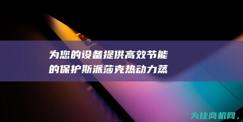 为您的设备提供高效节能的保护 斯派莎克热动力蒸汽疏水阀 (为您的设备提供服务)