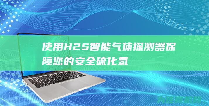 使用H2S 智能气体探测器保障您的安全 硫化氢 (h2s制s)