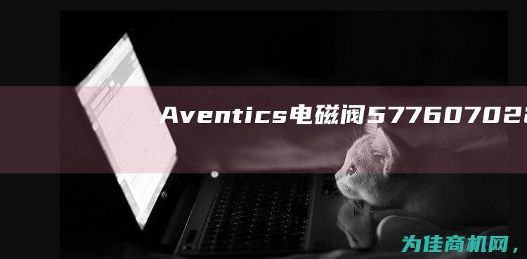 Aventics电磁阀5776070220 可靠性保障 — 专业品质 (aventics)