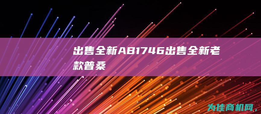 出售全新AB1746 (出售全新老款普桑)