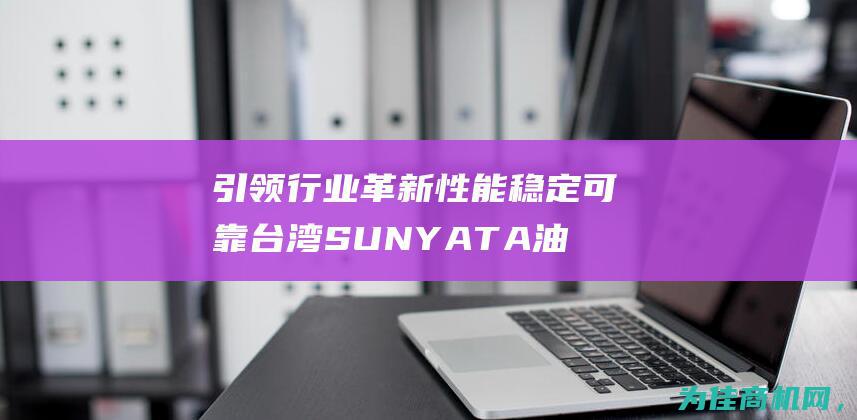 引领行业革新 性能稳定可靠 台湾SUNYATA油泵V (引领行业革新的成语)