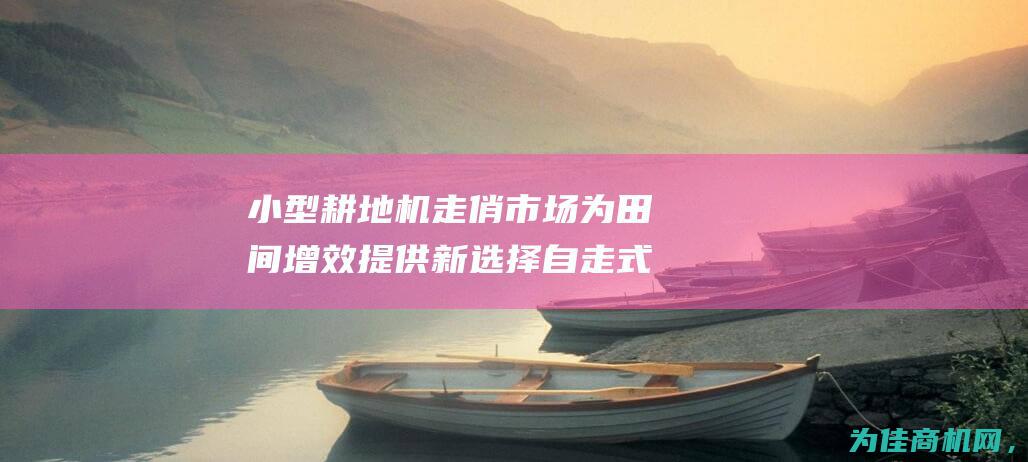 小型耕地机走俏市场 为田间增效提供新选择 自走式旋耕机厂家 (小型耕地机走路不稳)