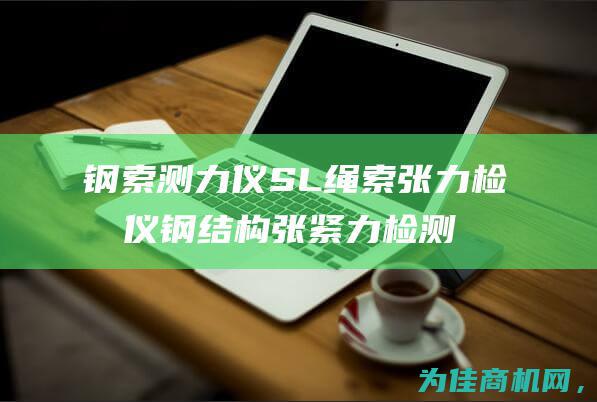 钢索测力仪 SL 绳索张力检测仪 钢结构张紧力检测仪 全方位精准监测工具 (钢索应力检测)