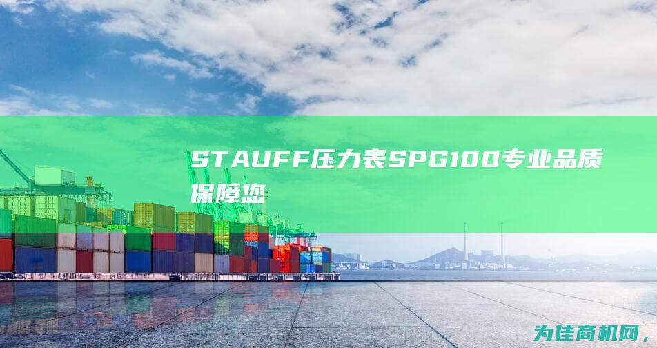 STAUFF压力表SPG100 专业品质保障您的安全控制 (stauffer)