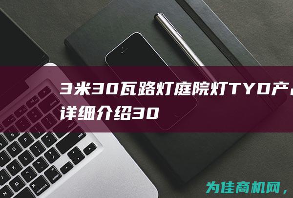 3米30瓦路灯庭院灯 TYD 产品详细介绍 (3000瓦50米多少平方线)