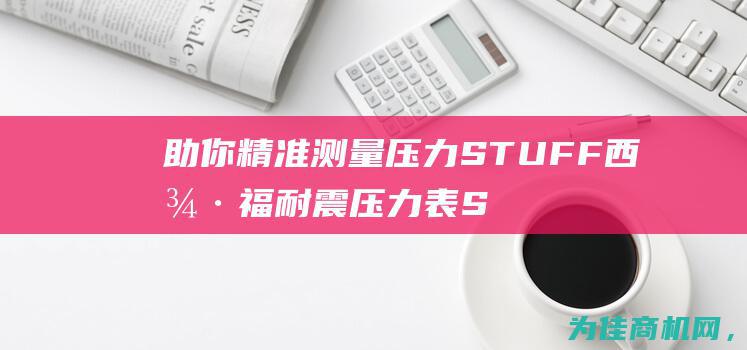 助你精准测量压力 STUFF西德福耐震压力表SPG063 (精准测量app)