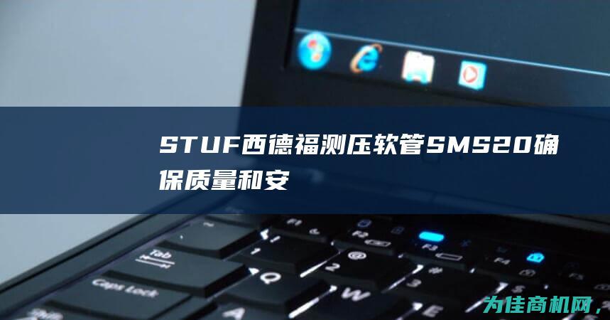 STUF西德福测压软管SMS20 确保质量和安全 – 专业测压软管 (西德 ff)