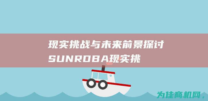 现实挑战与未来前景 探讨SUN RDBA (现实挑战与未来的关系)