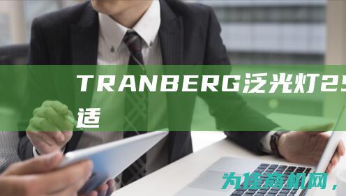 TRANBERG泛光灯2502050 打造舒适照明环境的高品质选择 (Tranberg)