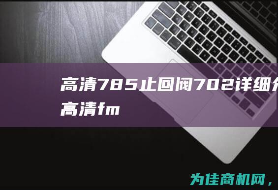 高清785止回阀702详细介绍 (高清.fm)