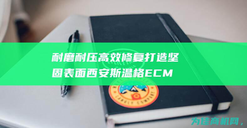 耐磨耐压 高效修复 打造坚固表面 西安斯温格ECM环氧修补砂浆 (耐磨耐高压材料)