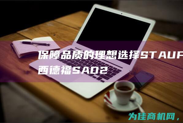 保障品质的理想选择 STAUFF西德福SAD20 提升效率 (保障品质的理念是什么)