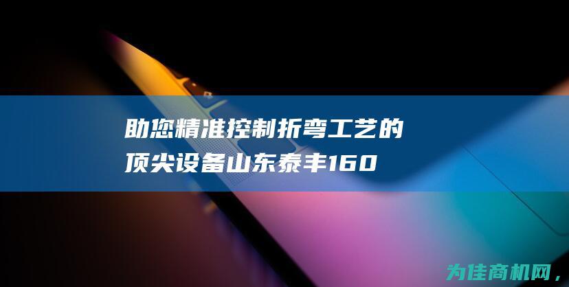 助您精准控制折弯工艺的顶尖设备 山东泰丰160T数控折弯机油缸WST系列 (精准的控制)