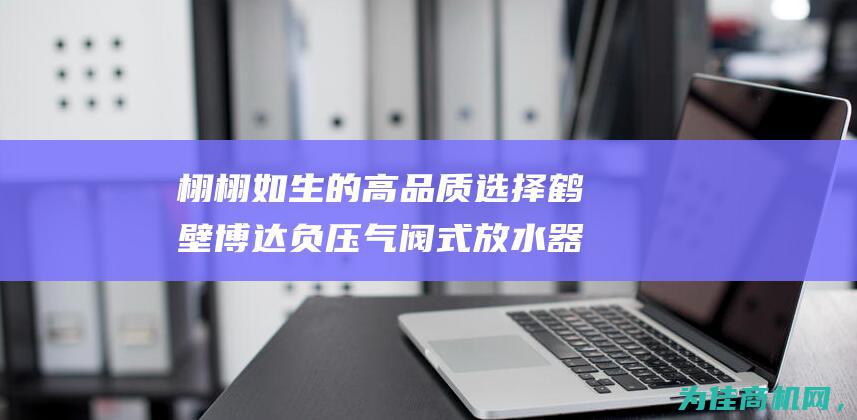 栩栩如生的高品质选择 鹤壁博达负压气阀式放水器 (栩栩如生的高级表达)