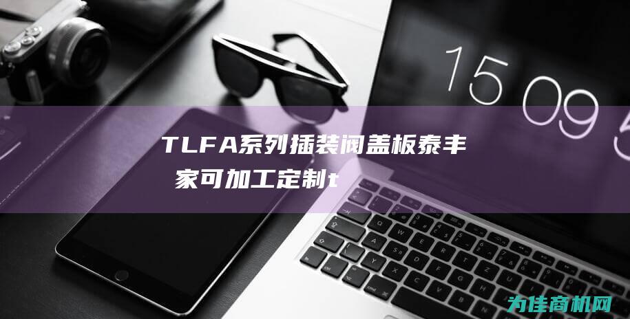 TLFA系列插装阀盖板泰丰厂家可加工定制 (tlfc)