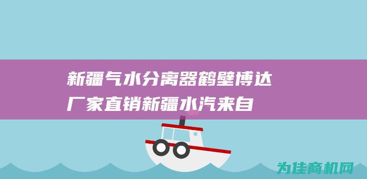 新疆气水分离器鹤壁博达厂家直销 (新疆水汽来自哪个大洋)