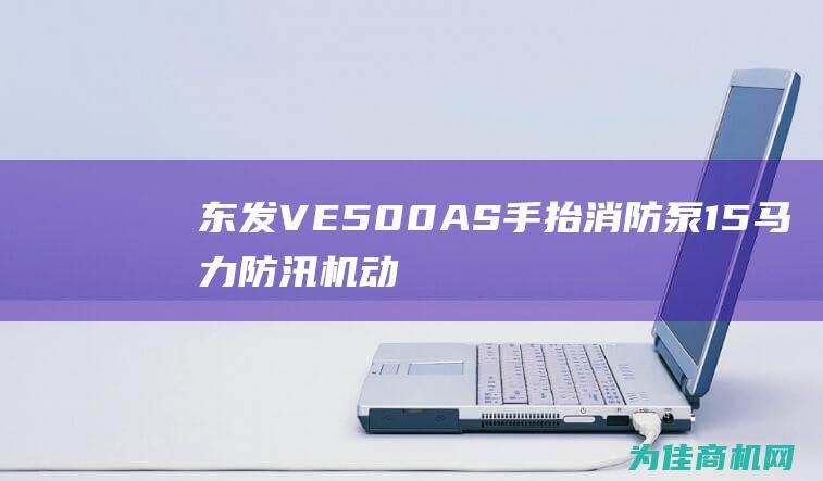 东发VE500AS手抬消防泵 15马力防汛机动泵 为突发事件保驾护航 (东发vE500As500是进囗产品吗)