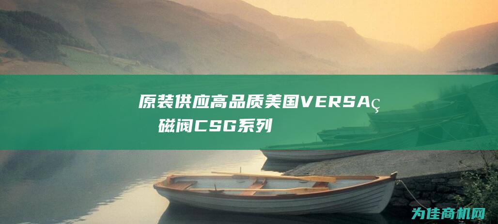 原装供应高品质美国VERSA电磁阀CSG系列 (原厂供货是正品吗)