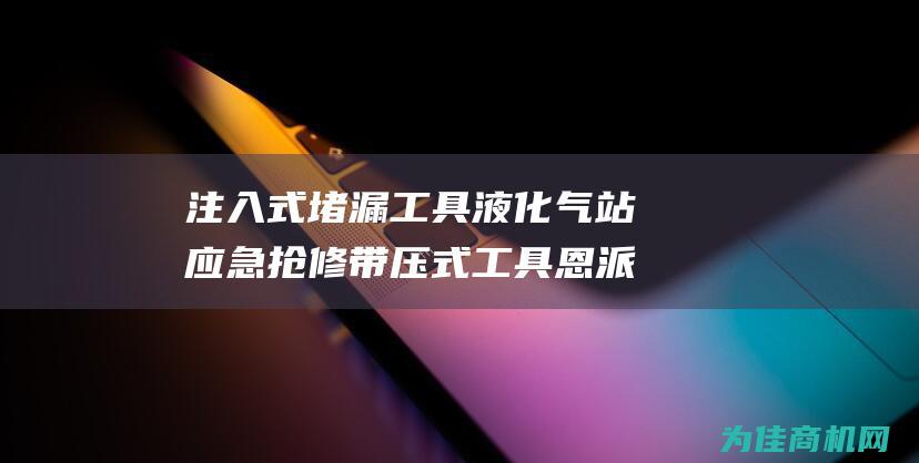 注入式堵漏工具液化气站应急抢修带压式工具恩派克泵昔友 (注入式堵漏工具性能参数)