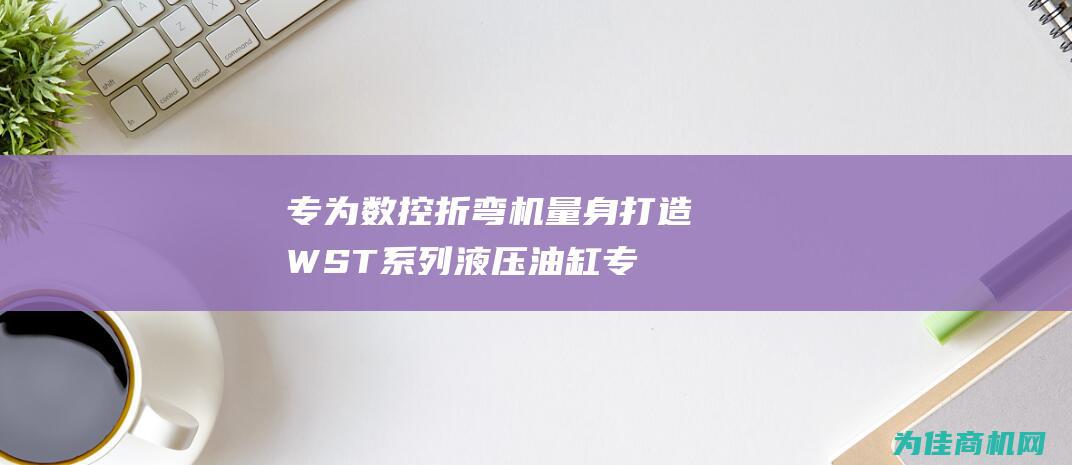 专为数控折弯机量身打造 WST系列液压油缸 (专为数控折弯的机器)