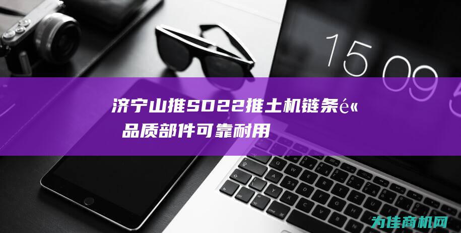 济宁山推SD22推土机链条 高品质部件 可靠耐用 (济宁山推是国企还是私企)