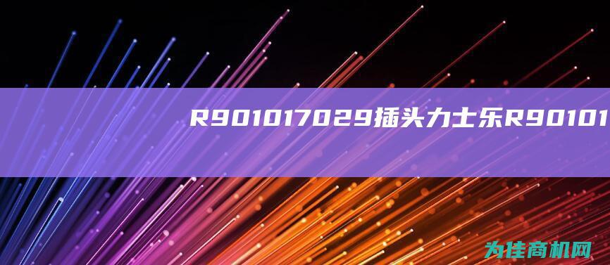 R901017029插头 力士乐 (R901017048)