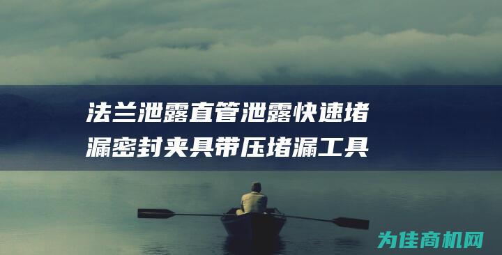 法兰泄露直管泄露快速堵漏密封夹具 带压堵漏工具 法兰堵漏用卡具 (法兰泄露直管怎么处理)