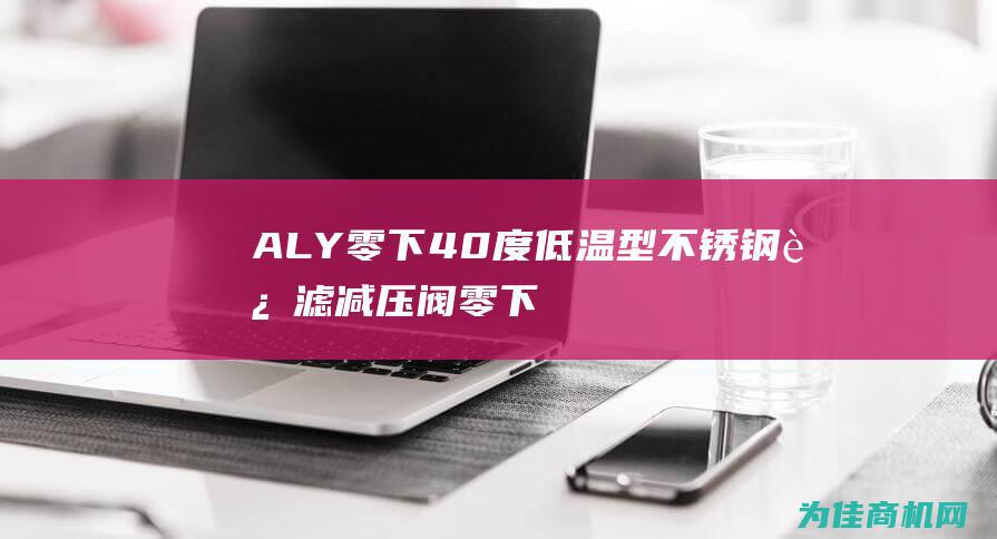 ALY 零下40度低温型不锈钢过滤减压阀 (零下4度什么意思)