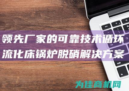 领先厂家的可靠技术 循环流化床锅炉脱硝解决方案 (领先制造商)