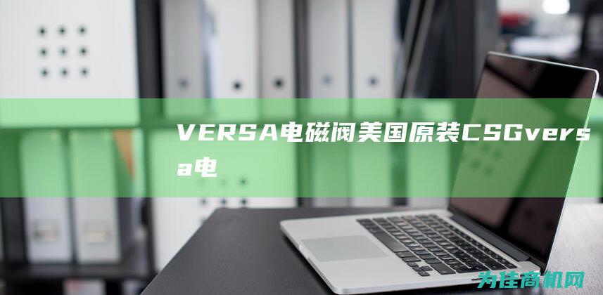 VERSA电磁阀 美国原装CSG (versa电磁阀中国有限公司)