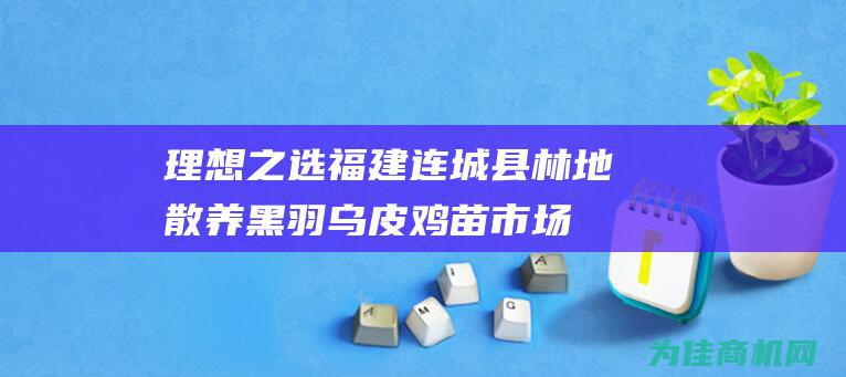 理想之选 福建连城县林地散养黑羽乌皮鸡苗市场 (理想之选的意思)