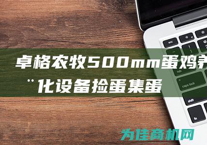 卓格农牧 500mm蛋鸡养殖自动化设备捡蛋集蛋器无损输送 (卓格农牧养鸡设备安装)