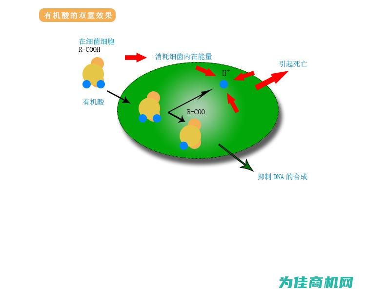 脱霉剂那个厂家的成分好mnxasfger (脱霉剂哪个厂家的好)