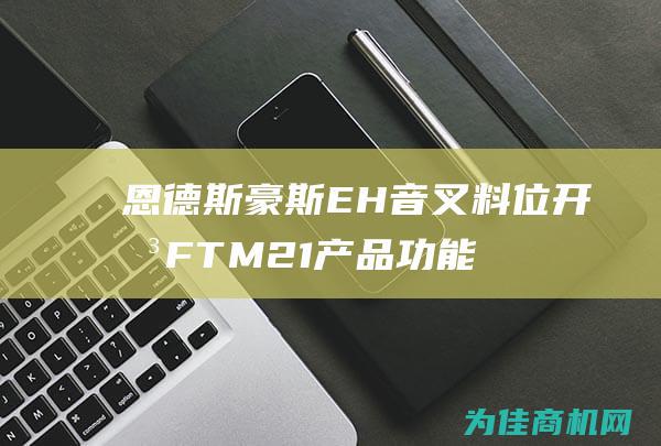 恩德斯豪斯E H音叉料位开关FTM21产品功能及应用介绍 (恩德斯豪斯e+h怎么样)