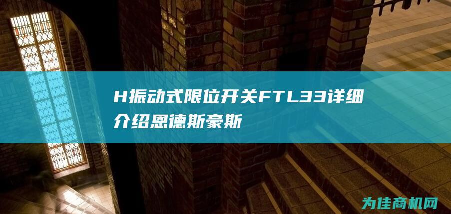 H振动式限位开关FTL33详细介绍 恩德斯豪斯E (振动控制)