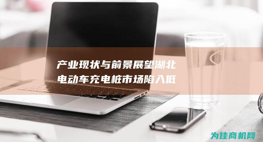 产业现状与前景展望 湖北电动车充电桩市场陷入低迷 (产业现状与前景怎么写)