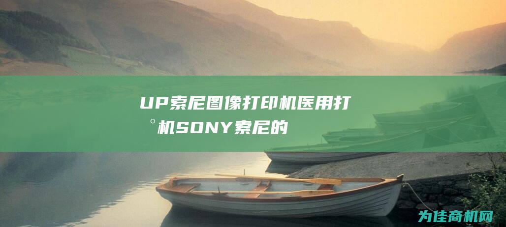 UP 索尼图像打印机医用打印机SONY (索尼的图)